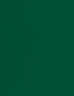 Rollmatic Moos Green Finish