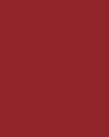 Ruby Red RAL 3003 - Hormann HST Side Sliding Garage Door