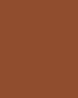 Copper Brown - Samson Security Steel Doorset Colour