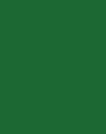 Leaf Green - Samson Security Steel Doorset Colour