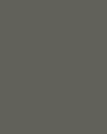 Quartz Grey - Samson Security Steel Doorset Colour