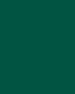 Moss Green - SeceuroGlide Sectional Colour 