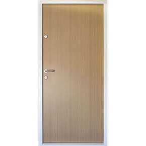 Samson HomeGuard Pedestrian Door 