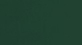 Horman Standard RAL Finishes for Sectional Doors - Fir Green